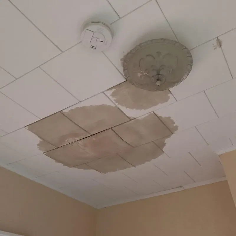 Ceiling Water Damage Repair in Adams, NY